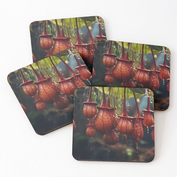 Item preview, Micro Photography - Pitcher Plants designed and sold by KootenayDesigns.