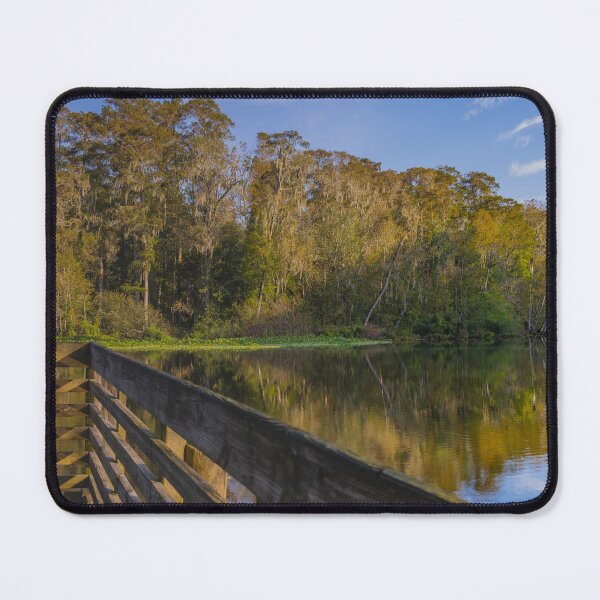 Item preview, John B Sergeant Park Boardwalk the sunrise reflects mirror like off the hillsborough river tampa florida October 2024 designed and sold by EyezWatchin.
