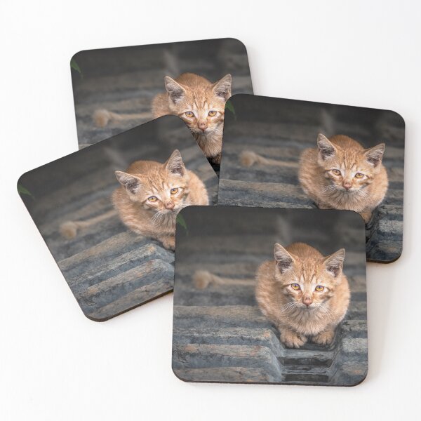 Item preview, Beautiful Eyes designed and sold by Jim Love.