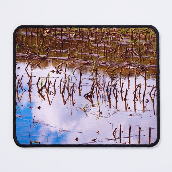 Item preview, Autumn Sky Reflections designed and sold by Jim Love.