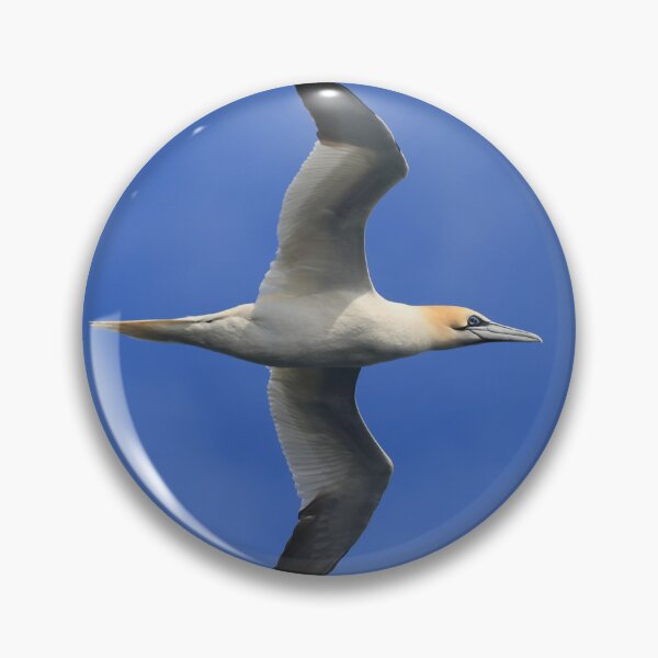 Item preview, Gannet designed and sold by Jon Lees.