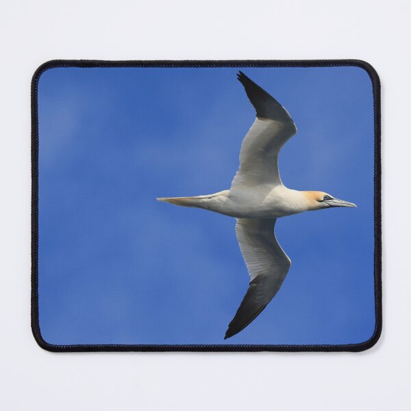 Item preview, Gannet designed and sold by Jon Lees.