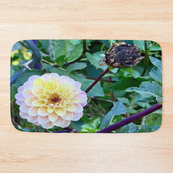 Item preview, Beauty & Decay designed and sold by Angela Fazio.