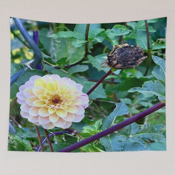 Item preview, Beauty & Decay designed and sold by Angela Fazio.