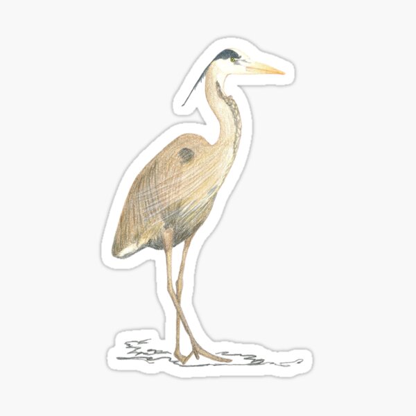 Item preview, Great Blue Heron designed and sold by Ann Brantingham -- Nature Art.