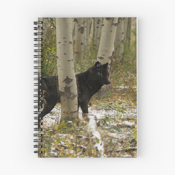 Item preview, Elusive designed and sold by Deni444.