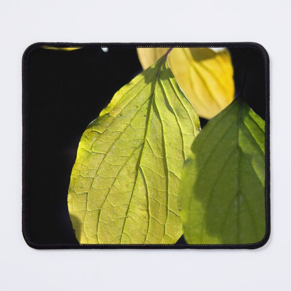 Item preview, Green autumn leaves on black background designed and sold by olena2552.
