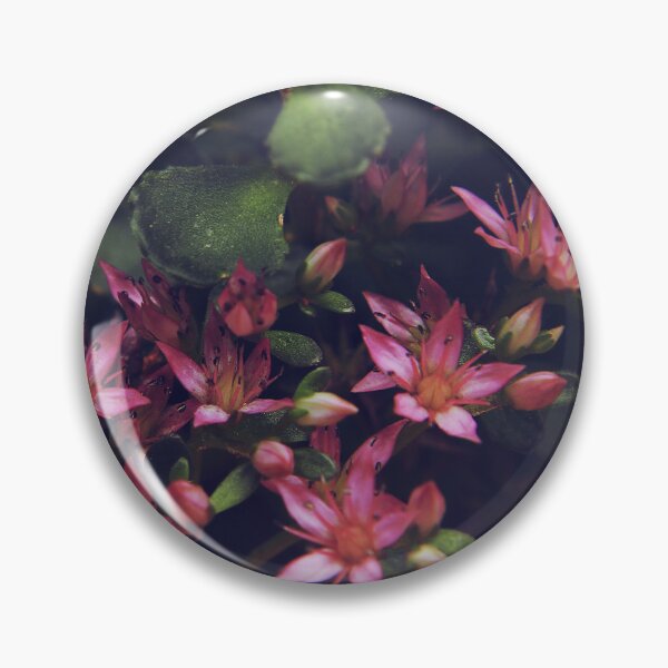 Item preview, Pretty in pink designed and sold by Deni444.