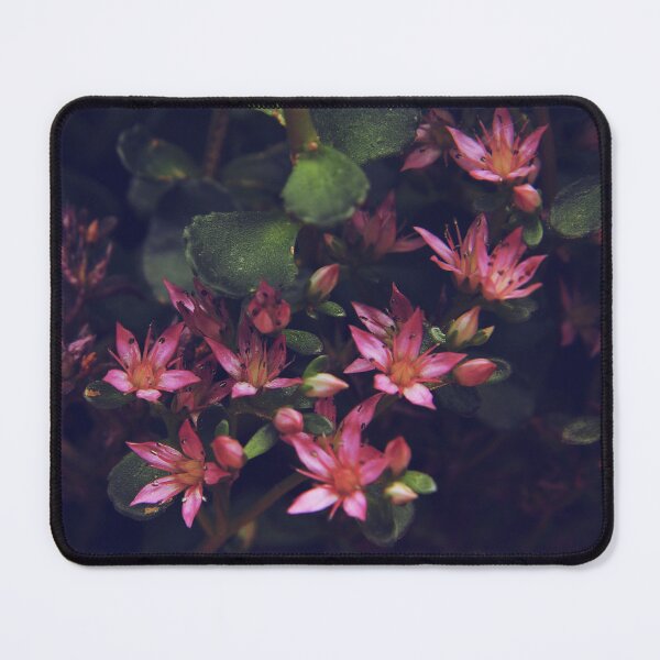 Item preview, Pretty in pink designed and sold by Deni444.