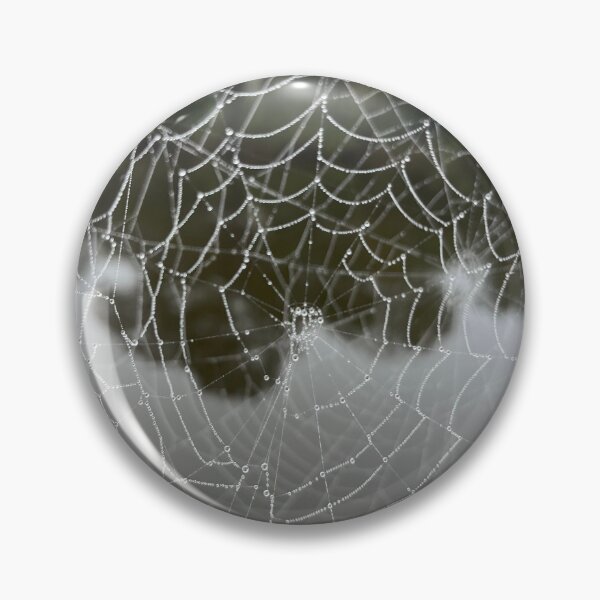 Item preview, Dew covered spider web designed and sold by grygiel5.