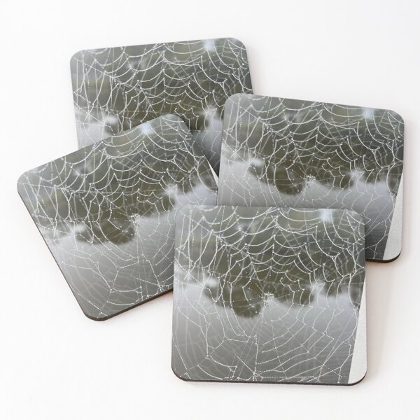 Item preview, Dew covered spider web designed and sold by grygiel5.