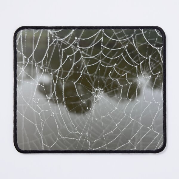 Item preview, Dew covered spider web designed and sold by grygiel5.