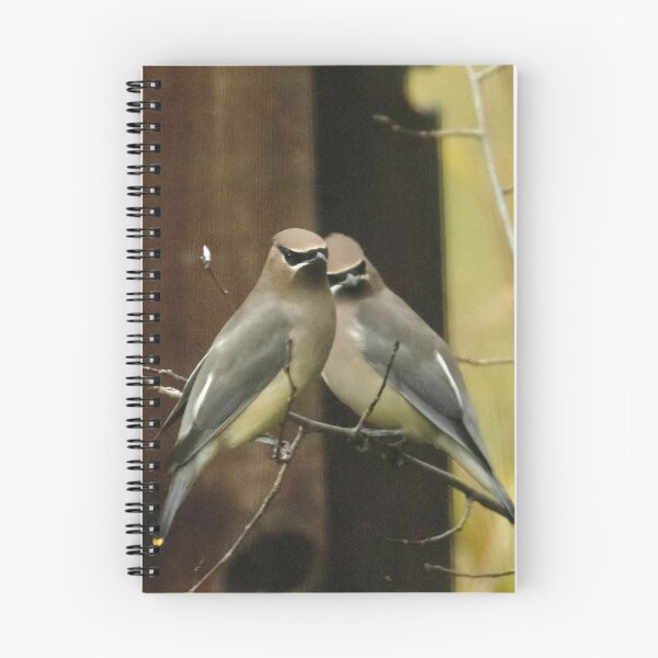 Item preview, Cedar Waxwings designed and sold by Deni444.