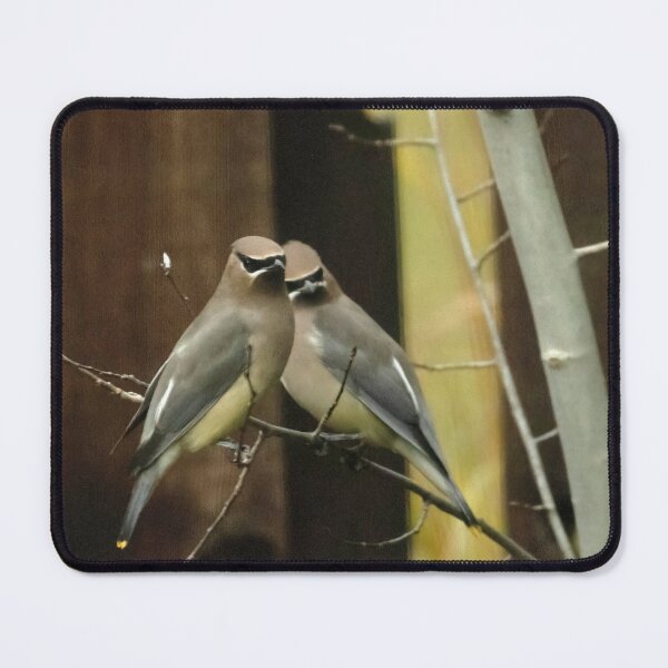 Item preview, Cedar Waxwings designed and sold by Deni444.