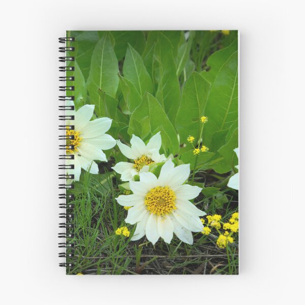 Item preview, Field of Flowers designed and sold by Deni444.
