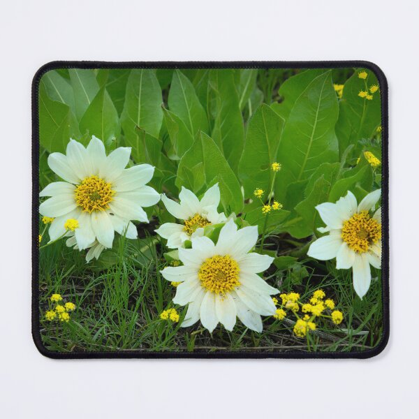 Item preview, Field of Flowers designed and sold by Deni444.