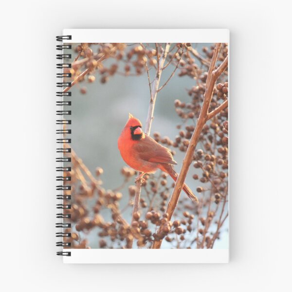 Aperçu de l'œuvre Cardinal rouge en hiver créée et vendue par Lsteuart.