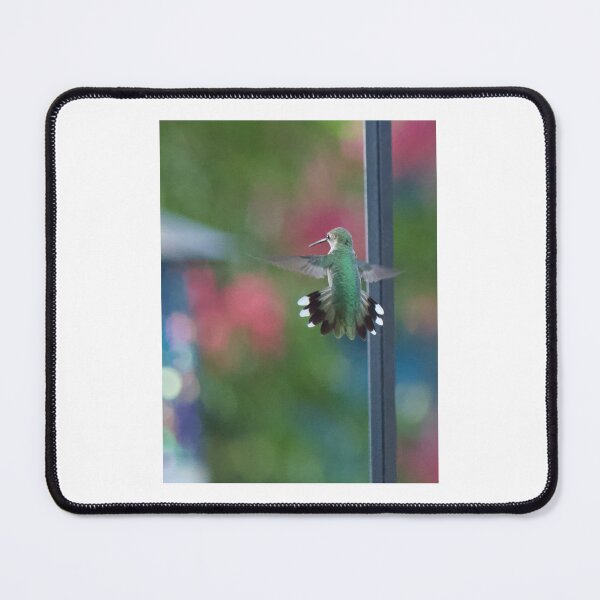 Item preview, Hummingbird hovering  designed and sold by Lsteuart.