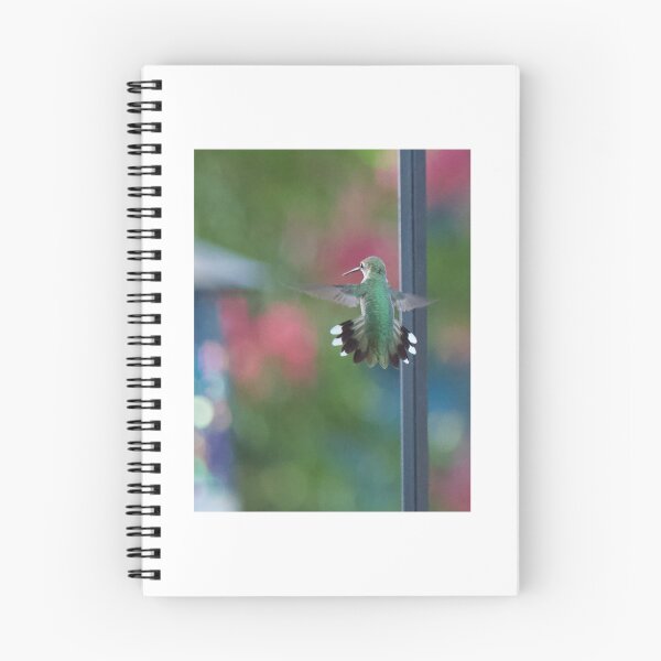 Item preview, Hummingbird hovering  designed and sold by Lsteuart.
