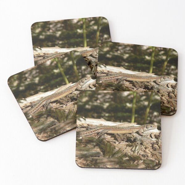 Item preview, Common Lizard designed and sold by EmilyJaneArt.