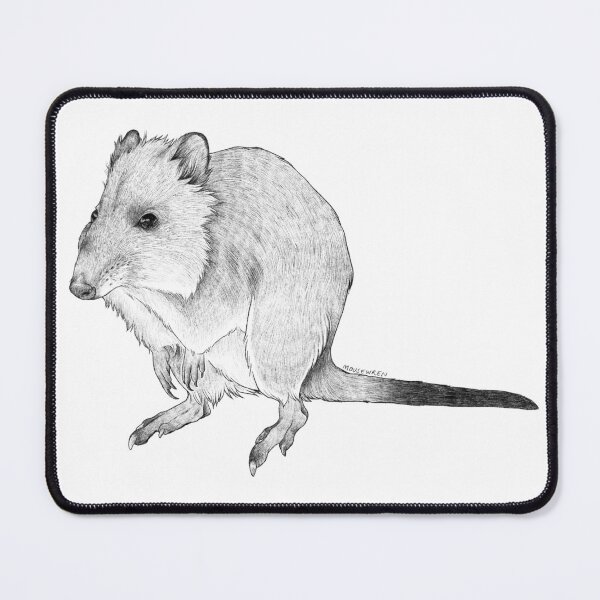 Item preview, Long Nosed Potoroo Illustration designed and sold by Mousewren.