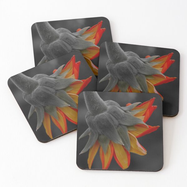 Artikelvorschau, Farbe isoliert Sonnenblume zurück entworfen und verkauft von Cblifeisgood.