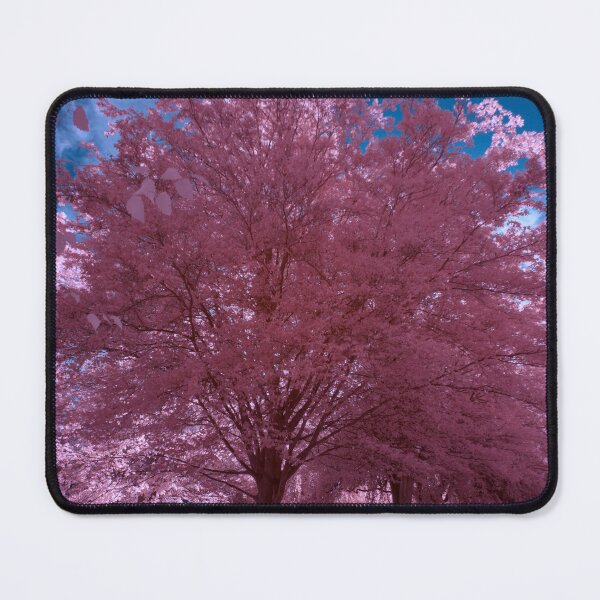 Item preview, Pink trees in park designed and sold by Cblifeisgood.