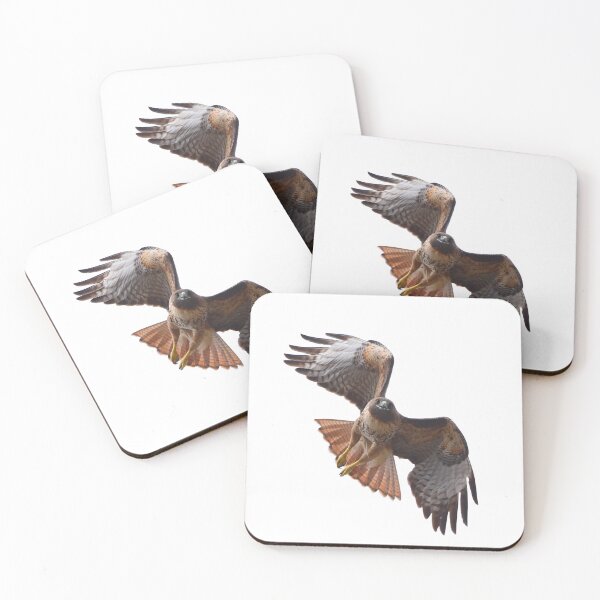 Item preview, Red-tailed Hawk designed and sold by RickClarkPhotos.