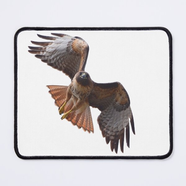 Item preview, Red-tailed Hawk designed and sold by RickClarkPhotos.