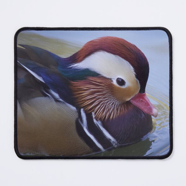 Item preview, Mandarin Duck designed and sold by Lsteuart.