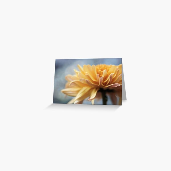 Golden Glory Greeting Card