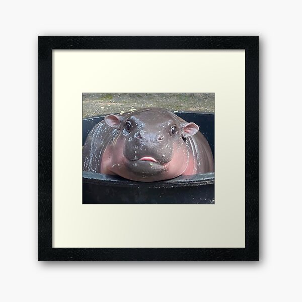 Item preview, Moo Deng Tongue designed and sold by shoxio.