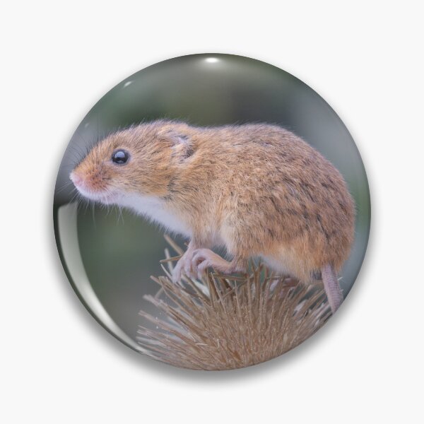 Item preview, Portrait of a tiny mouse designed and sold by Anthony Brewer.
