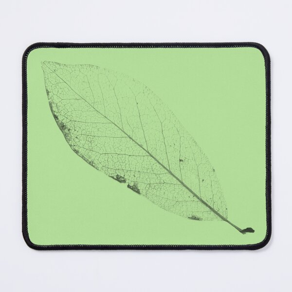Item preview, Skeletonized leaf designed and sold by TheMenagerieM.