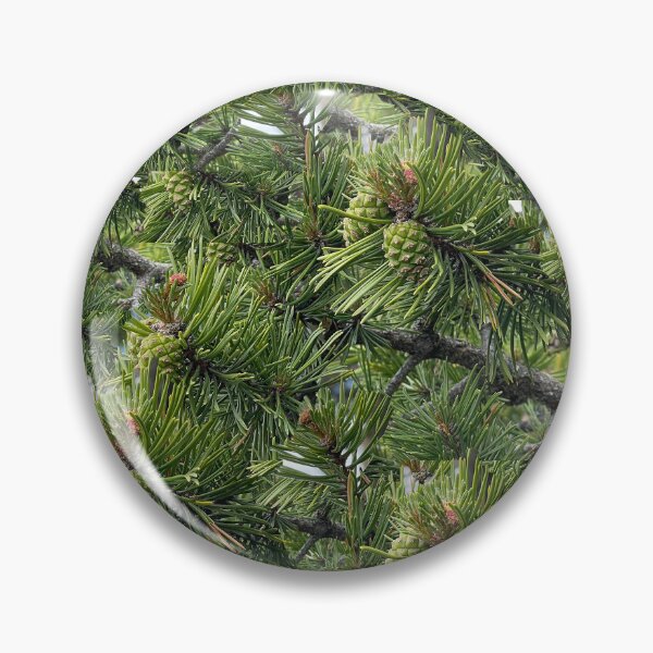 Item preview, Pine Tree Foliage Collage designed and sold by JashJhaveri.