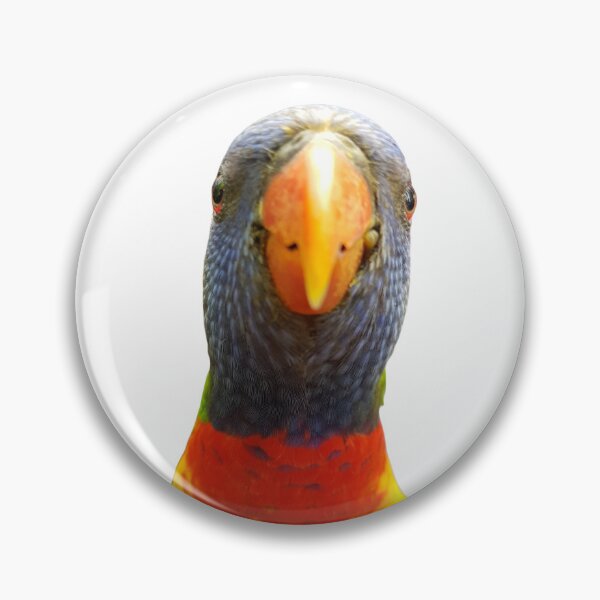Item preview, Bird sticker, Australian lorrikeet designed and sold by flowergirlrosie.