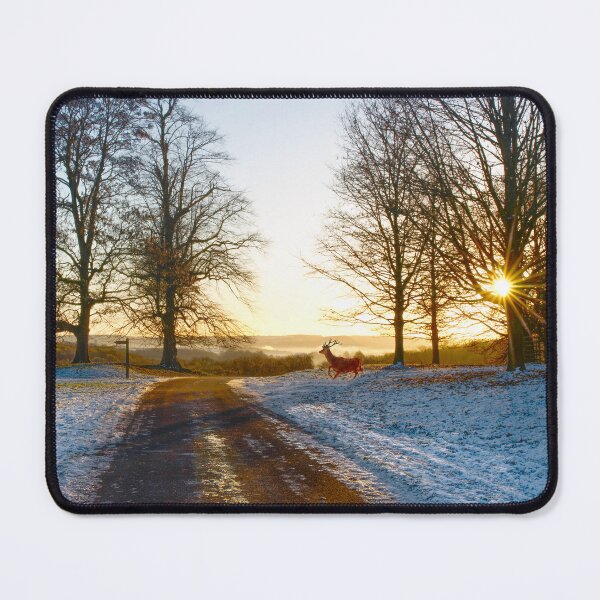 Item preview, Winter Sunrise Stag designed and sold by Alisonchambers2.
