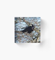 Rook Acrylic Block