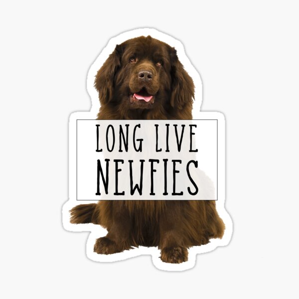 Long Live Newfies - With Sign Sticker