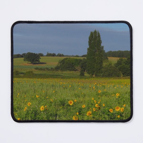 Item preview, Sunflowers, Levington, Suffolk ( 2 ) designed and sold by wiggyofipswich.