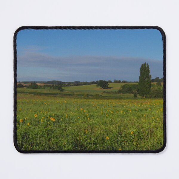 Item preview, Sunflowers, Levington, Suffolk designed and sold by wiggyofipswich.
