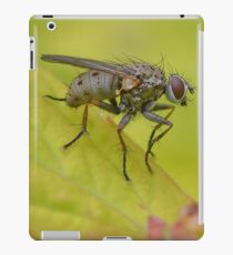 Macro Fly iPad Case/Skin