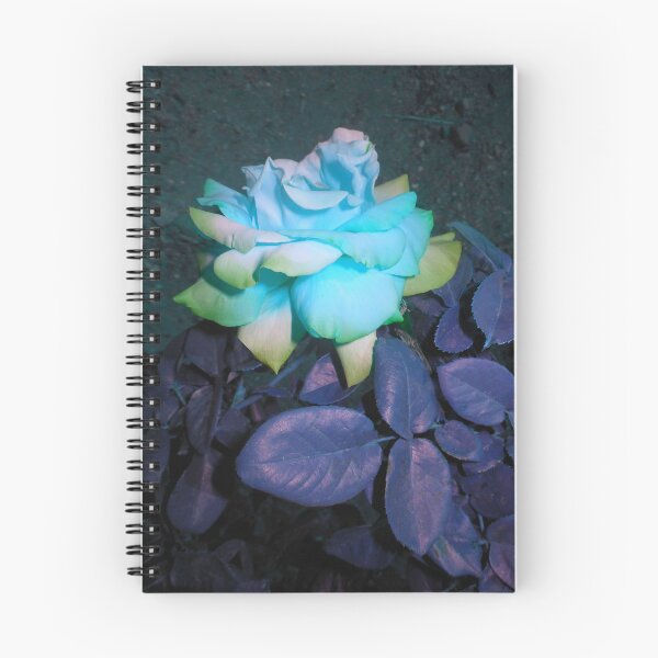 Item preview, cool colored rose 05/18/18 designed and sold by Shellaqua.