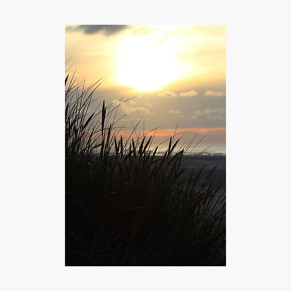 Item preview, Beachgrass at sunset on Terschelling, the Netherlands designed and sold by Marije Kouyzer.