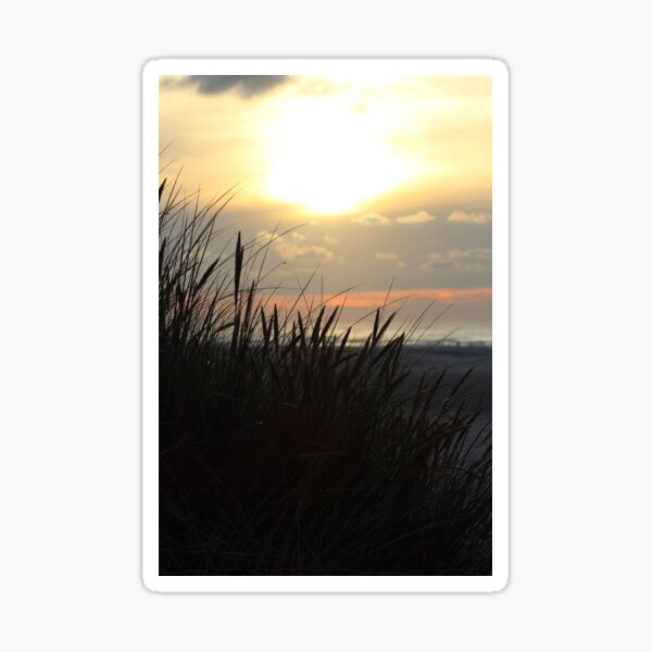 Item preview, Beachgrass at sunset on Terschelling, the Netherlands designed and sold by Marije Kouyzer.
