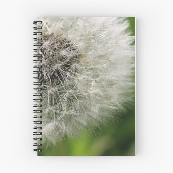 Item preview, Dandelion Close up designed and sold by Marije Kouyzer.