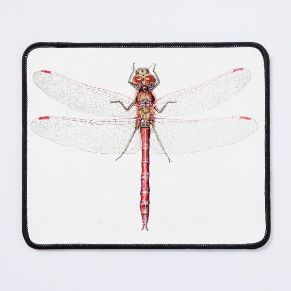 Item preview, Ruddy Darter Dragonfly designed and sold by NCampbellArt.
