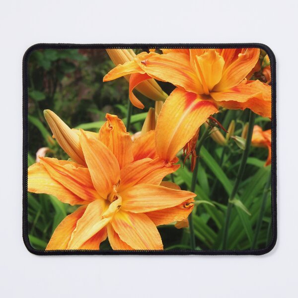 Item preview, Orange daylily designed and sold by pinkal.