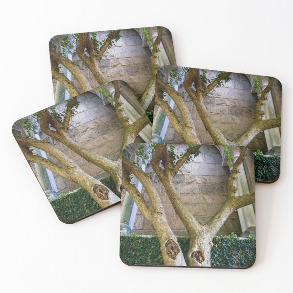 Item preview, Tree in the Garden of MET Cloisters, NYC designed and sold by jrtwynam.