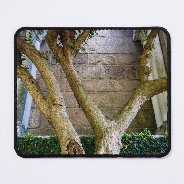 Item preview, Tree in the Garden of MET Cloisters, NYC designed and sold by jrtwynam.